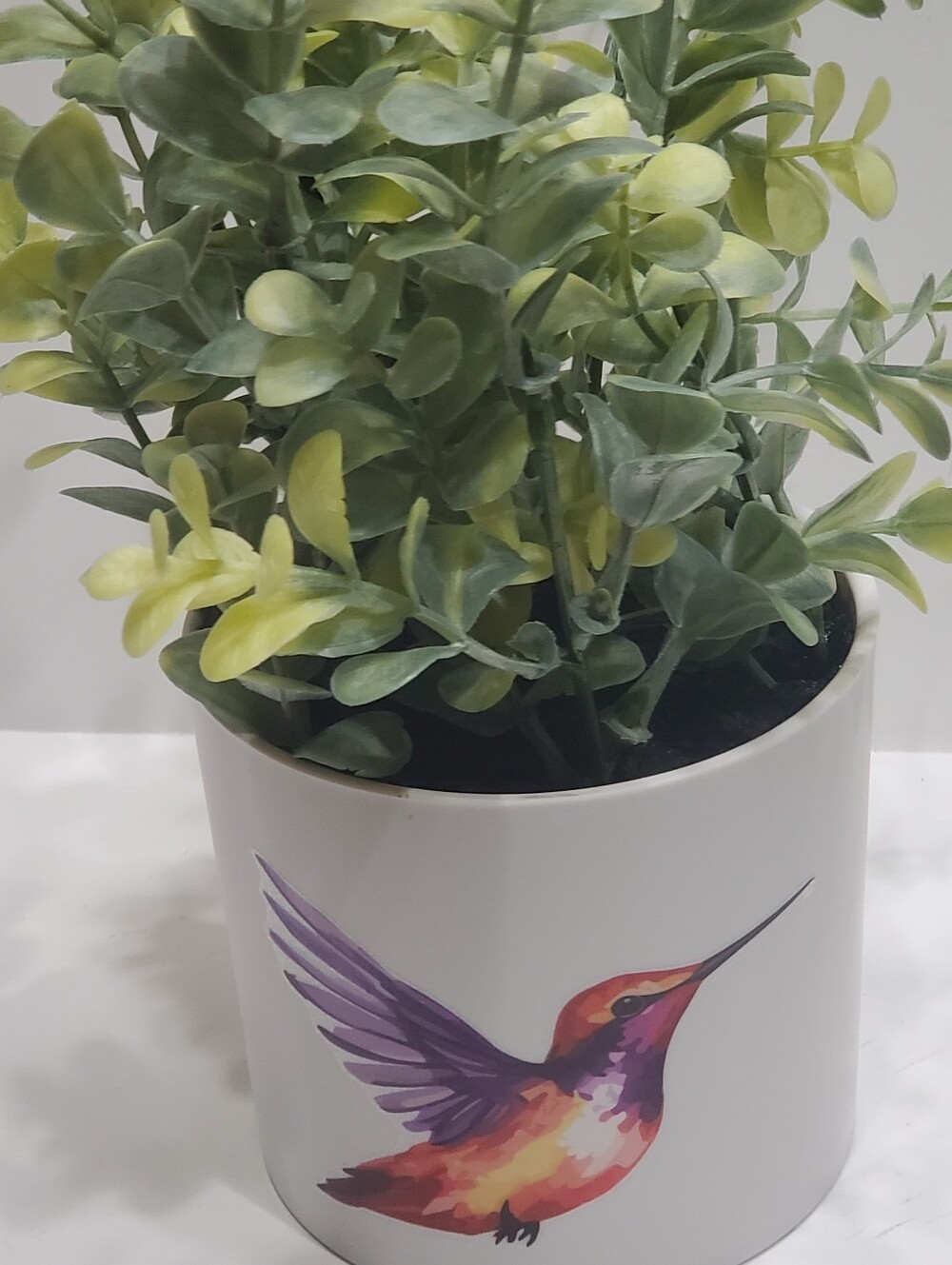 Light Up Plant - Picture 7 of 16